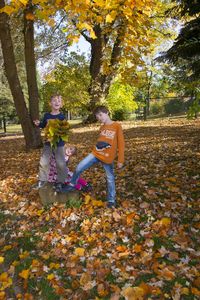 People standing by tree during autumn