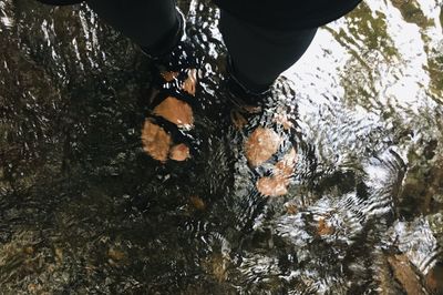 Low section of man standing in puddle