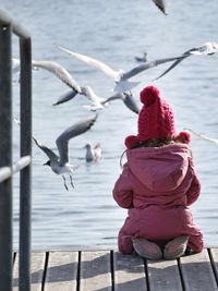 Swans on sea shore