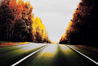 Empty road along trees