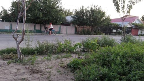 Boy riding bicycle on road against sky