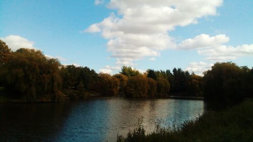 Scenic view of lake in forest against sky