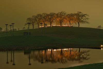 Illuminated woodland cemetery and arboretum against sky at dusk