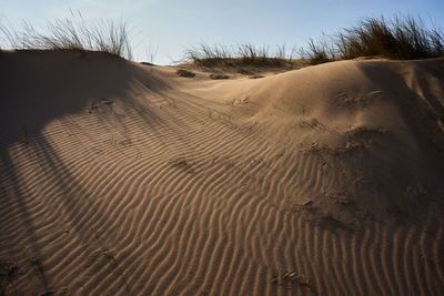 Sand dunes in desert