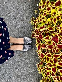 Shoes and flowers 