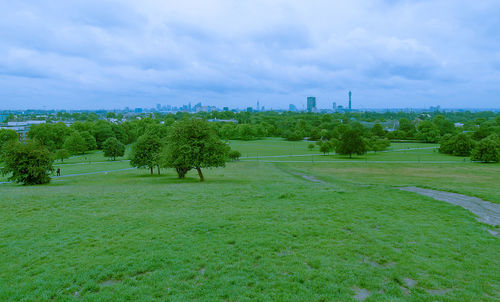 Trees on field against sky