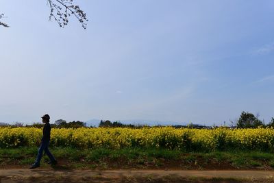 Scenic view of field against sky