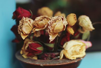 Close-up of flowers