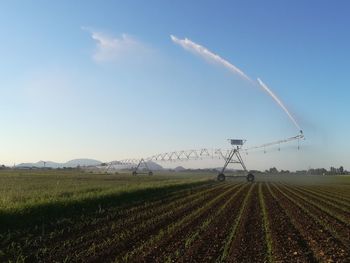 Scenic view of agricultural field against sky