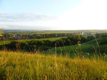 Scenic view of grassy field against sky