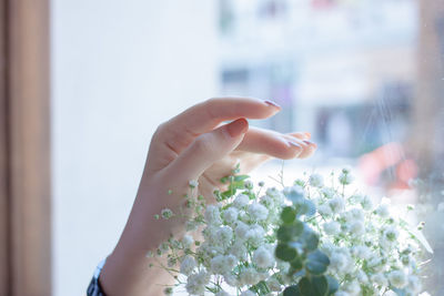 Close-up of hand holding bouquet of flower