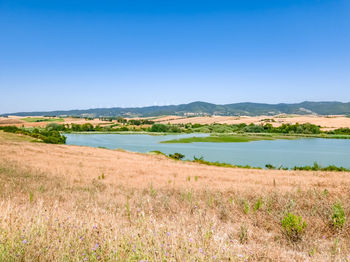 Scenic view of landscape against clear blue sky