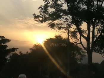 Silhouette trees against sky during sunset