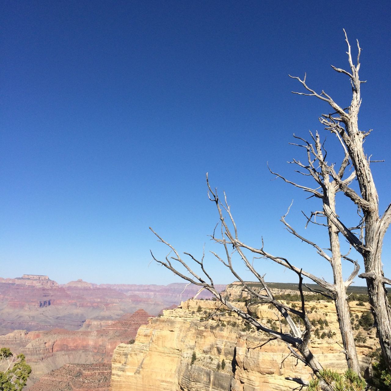 clear sky, blue, tranquility, tranquil scene, landscape, scenics, nature, beauty in nature, rock formation, copy space, rock - object, tree, mountain, bare tree, arid climate, non-urban scene, rock, desert, remote, geology