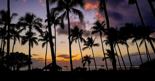 Silhouette palm trees on beach against sky during sunset