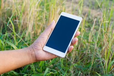 Cropped hand of person holding smart phone over grass field