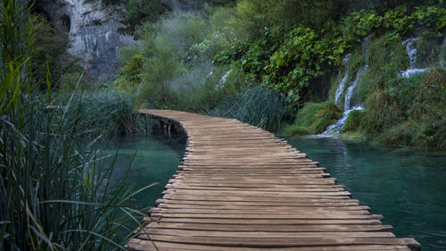 Boardwalk leading towards river amidst trees in forest