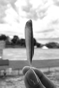 Close-up of hand holding feather against sky