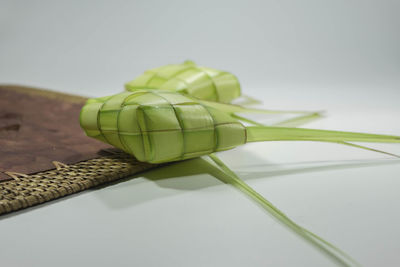 High angle view of leaf on table against white background