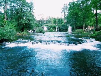 Scenic view of river with trees in background