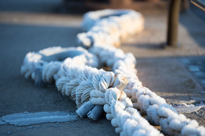 Close-up of rope at harbor