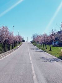 Empty road amidst flowering plants against sky