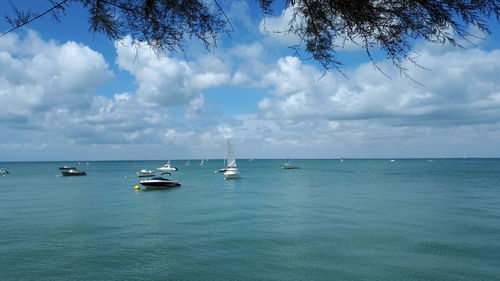 Sailboats in sea against sky