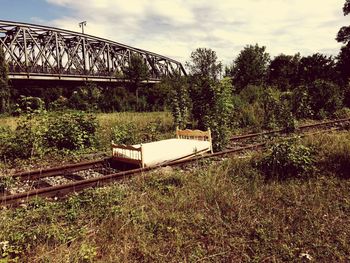 Plants growing on field in forest against sky