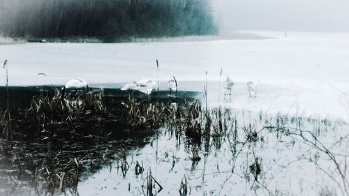 Scenic view of frozen lake against sky during winter