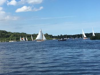 Sailboats sailing on sea against sky