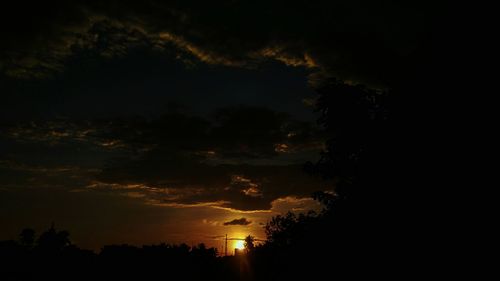 Silhouette trees against sky at night