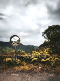 Road mirror by plant against sky