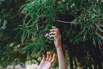 Midsection of woman holding plant against trees