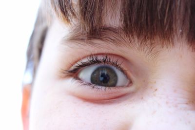 Cropped image of girl eye