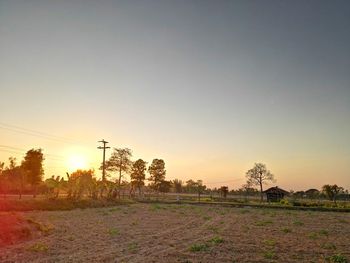 Trees on field against clear sky during sunset