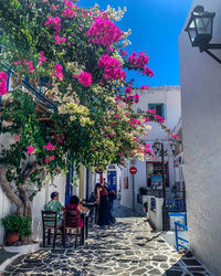 Flowers on street amidst buildings against sky