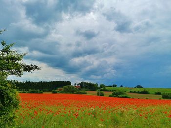 Scenic view of field against cloudy sky