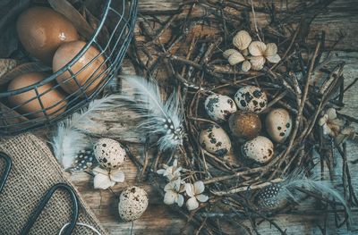 High angle view of shells in basket on table