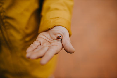 Close up child hand holding a ladybug