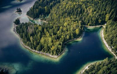 High angle view of river amidst trees in forest