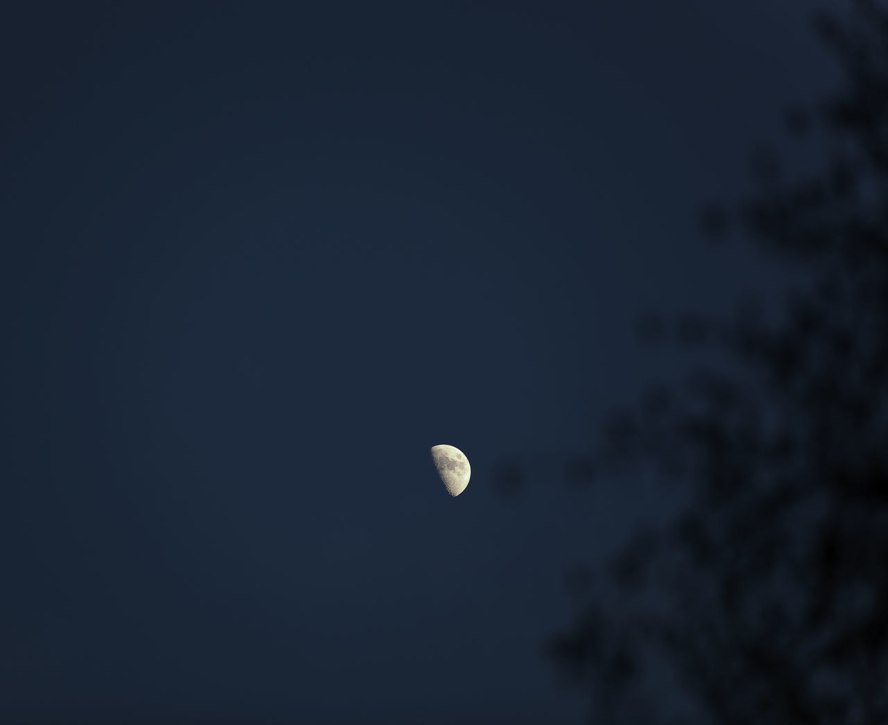 LOW ANGLE VIEW OF MOON IN SKY