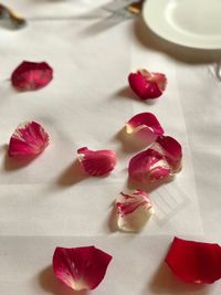 Close-up of red roses on table