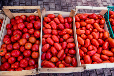 Close-up of tomatoes in market