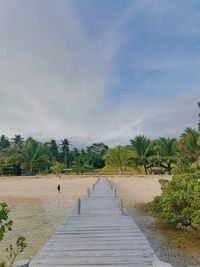 Footpath by palm trees against sky