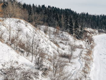 Snow covered land and trees against sky