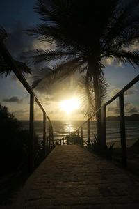 Silhouette palm trees on beach against sky during sunset