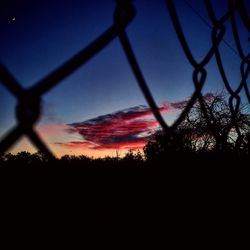 Close-up of silhouette trees against clear sky