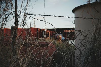 Low angle view of built structure against the sky