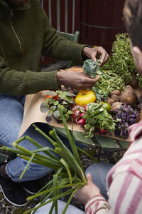 High angle view of hands holding herbs