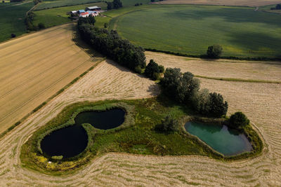 High angle view of agricultural field